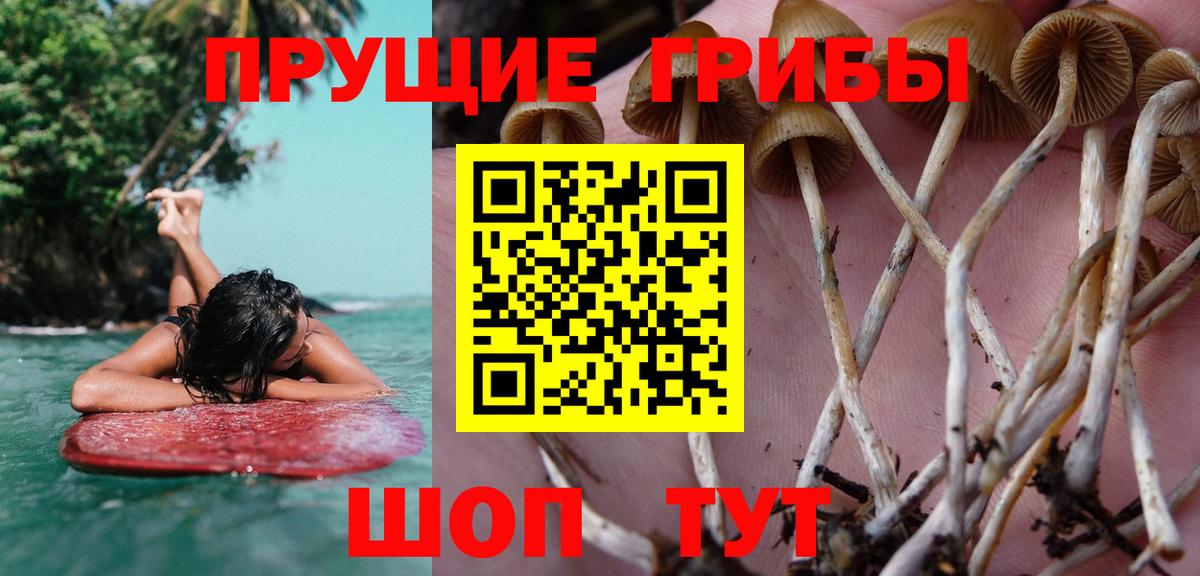 Галлюциногенные грибы ЛСД  хочу   Малгобек  Вход с VPN 